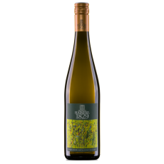 Grüner Veltliner Gobelsburg Kamptal DAC 2024