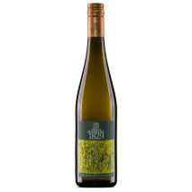 Grüner Veltliner Gobelsburg Kamptal DAC 2024
